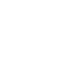 icons8-fintech-100